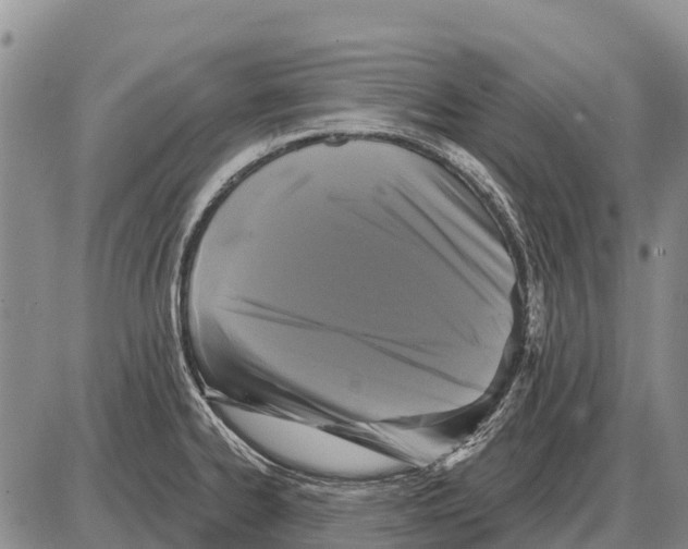 X0000086301334200704271817