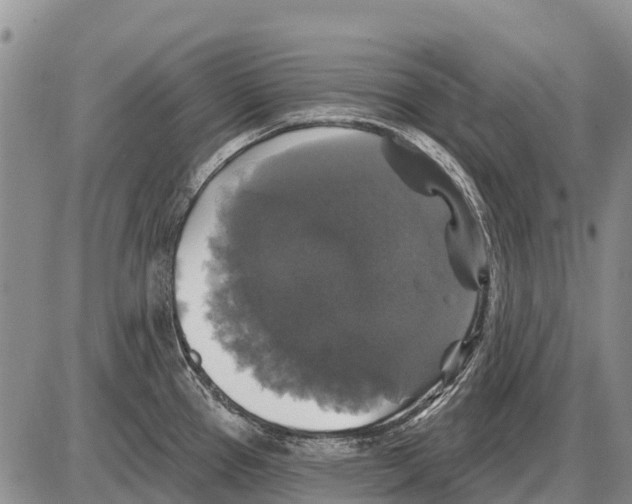 X0000086301337200704271817