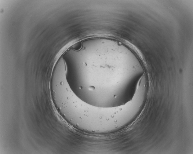 X0000086301338200704271817