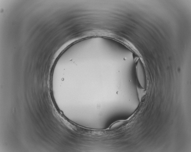 X0000086301339200704271817