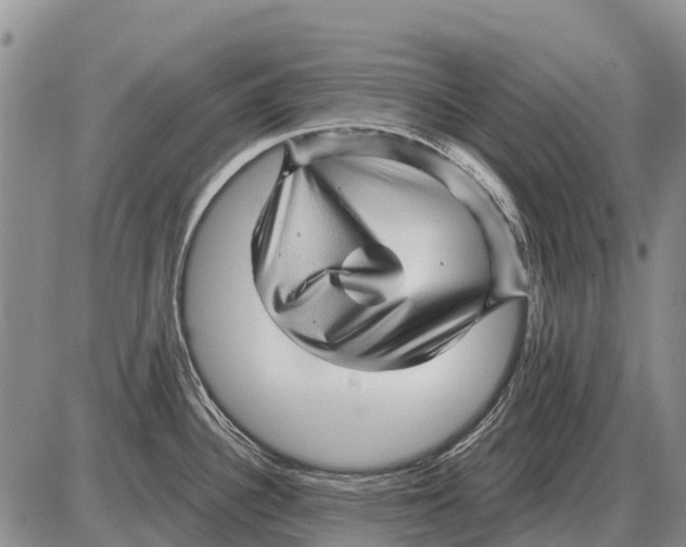 X0000086301340200704271817