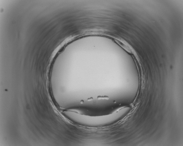 X0000086301341200704271817