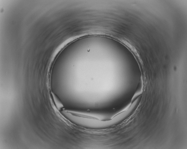 X0000086301342200704271817