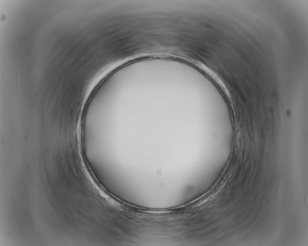 X0000086301343200704271817