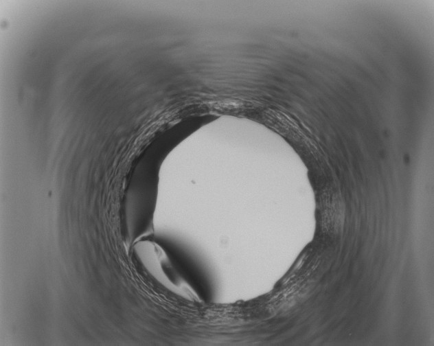 X0000086301345200704271817