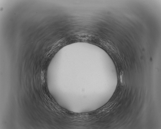 X0000086301347200704271817