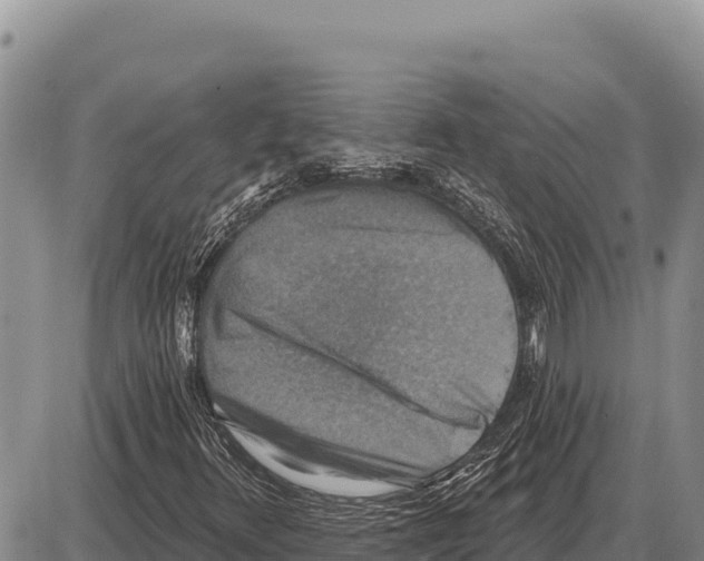 X0000086301348200704271817