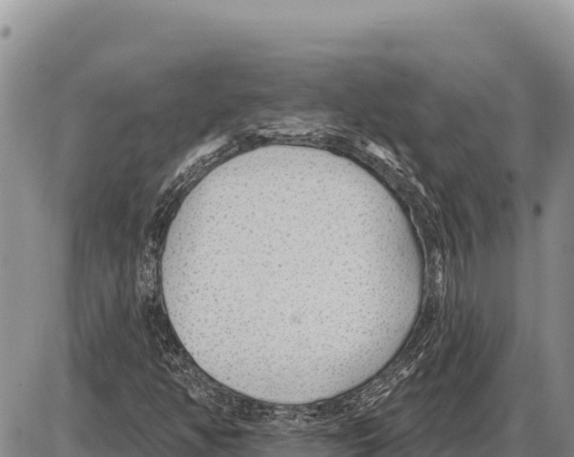 X0000086301350200704271817