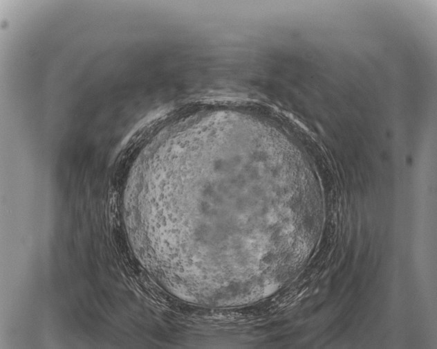 X0000086301351200704271817