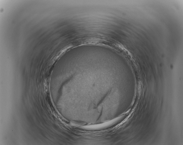 X0000086301353200704271817