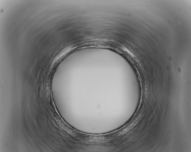 X0000086301354200704271817