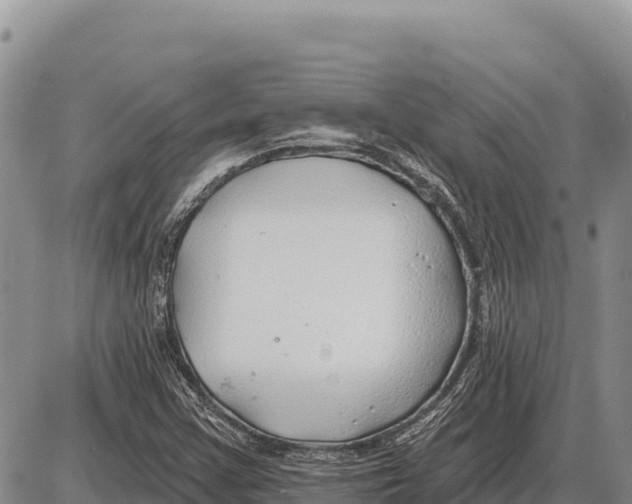 X0000086301355200704271817