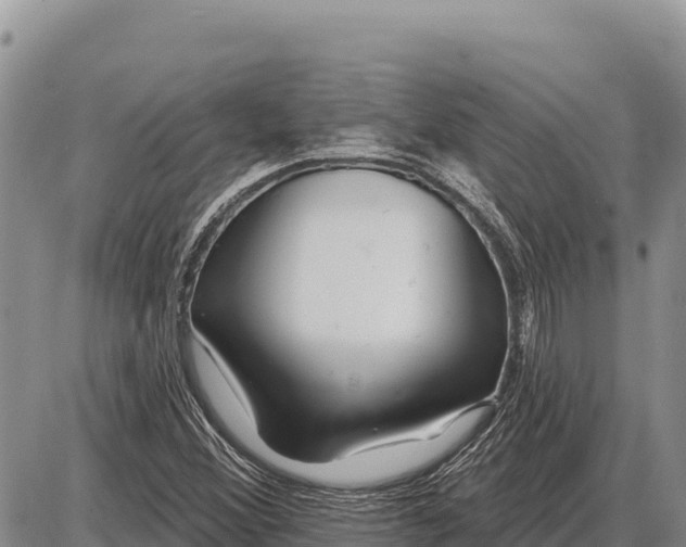 X0000086301356200704271816