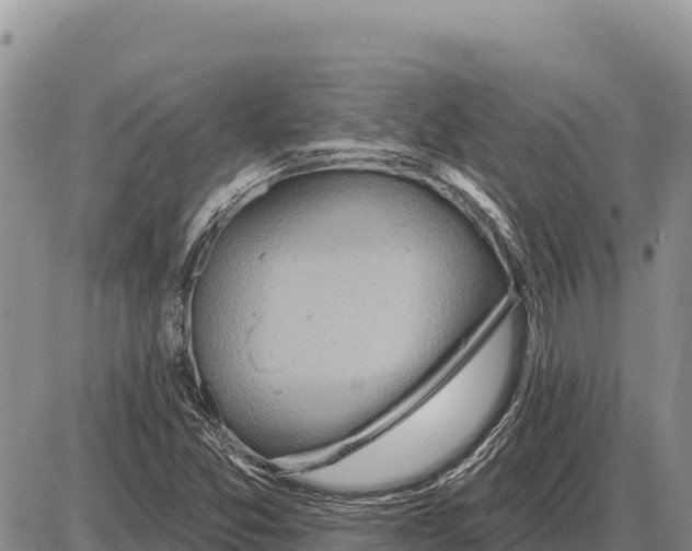 X0000086301357200704271816