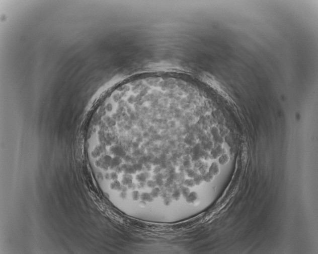 X0000086301358200704271816