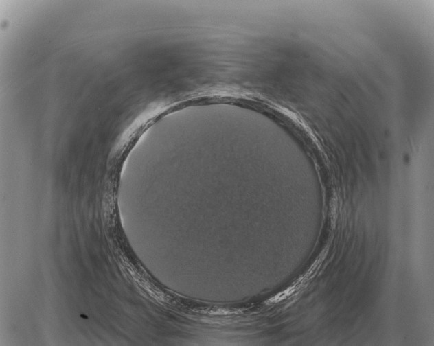 X0000086301359200704271816