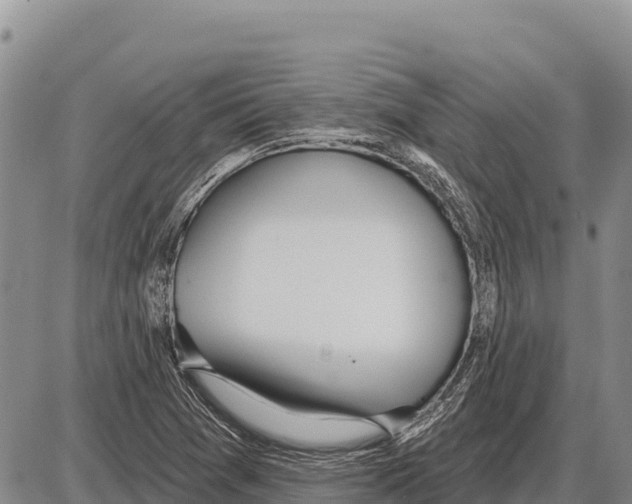 X0000086301361200704271816