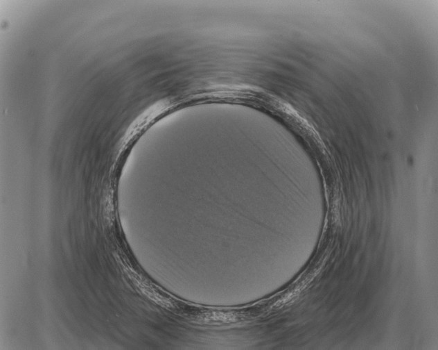 X0000086301362200704271816