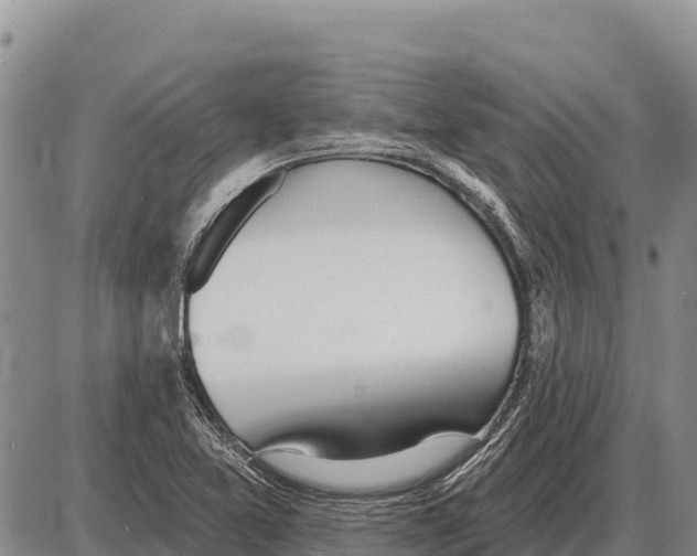 X0000086301365200704271816