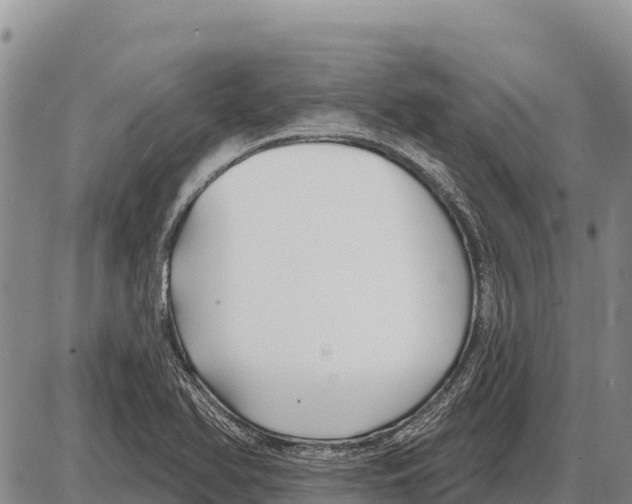 X0000086301366200704271816