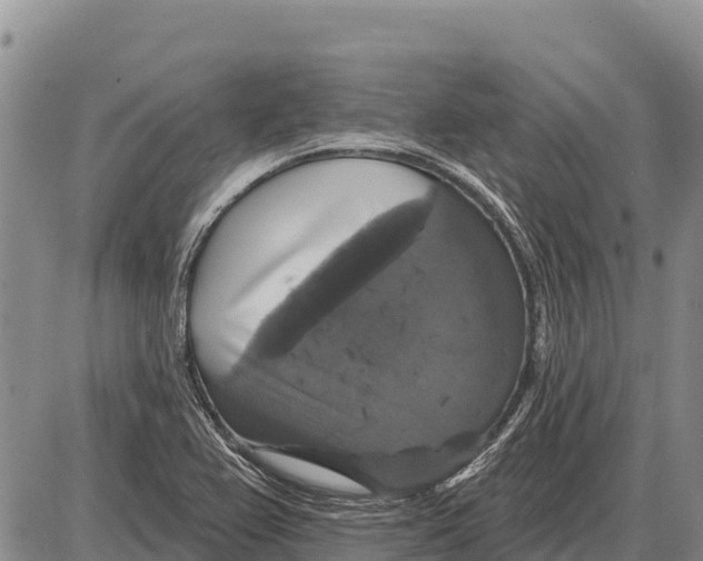 X0000086301367200704271816