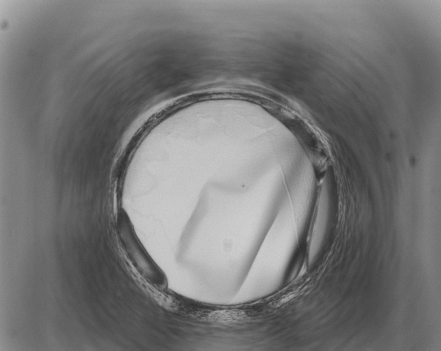 X0000086301368200704271816