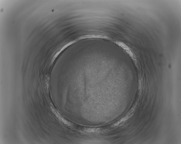 X0000086301369200704271816