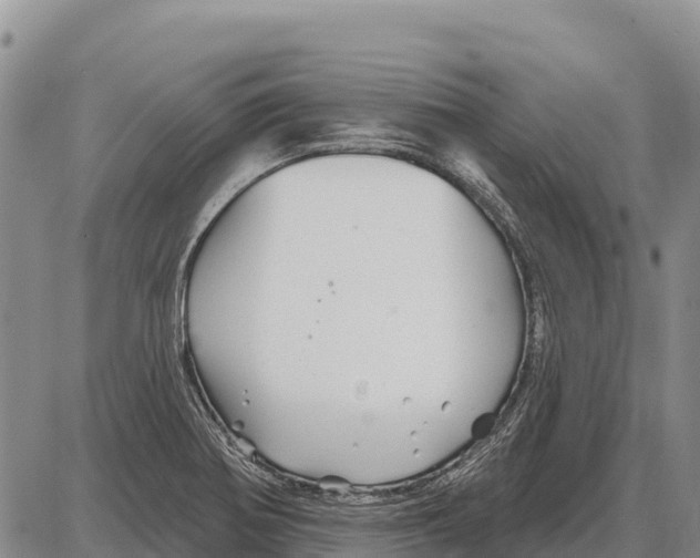 X0000086301370200704271816