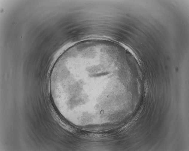 X0000086301371200704271816