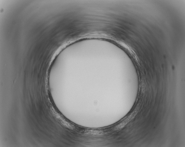 X0000086301374200704271816