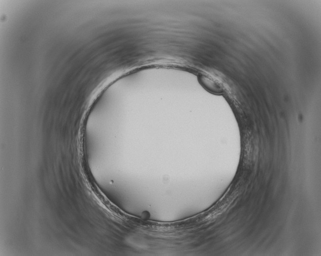 X0000086301375200704271816