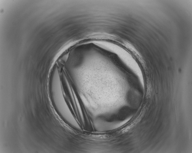 X0000086301376200704271816