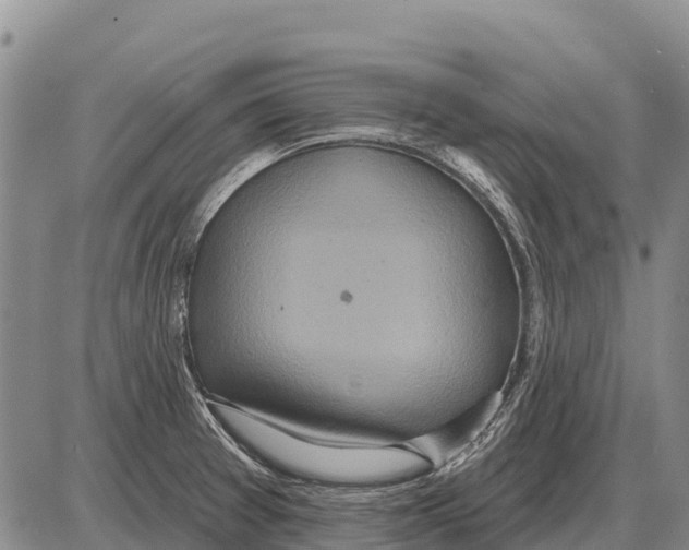 X0000086301377200704271816