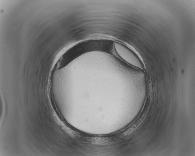 X0000086301379200704271816