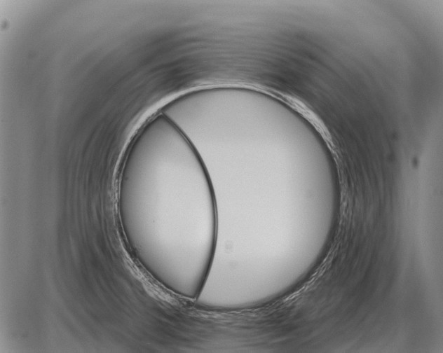 X0000086301380200704271816