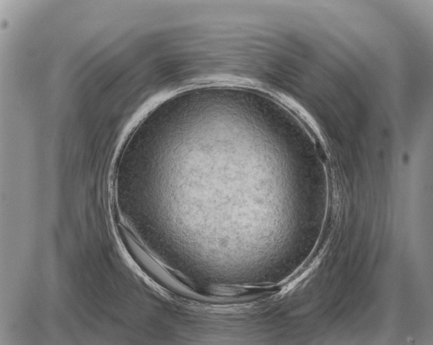 X0000086301381200704271816