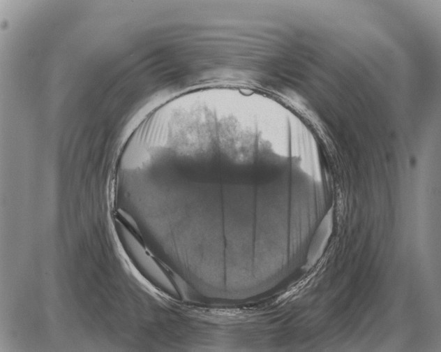 X0000086301383200704271816