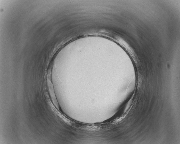 X0000086301384200704271816