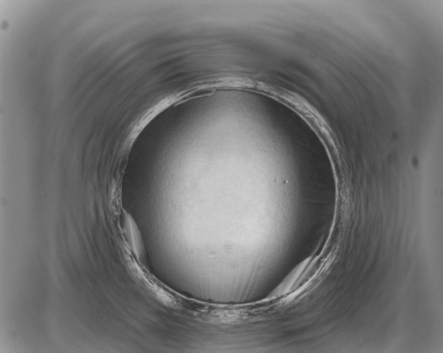 X0000086301385200704271816