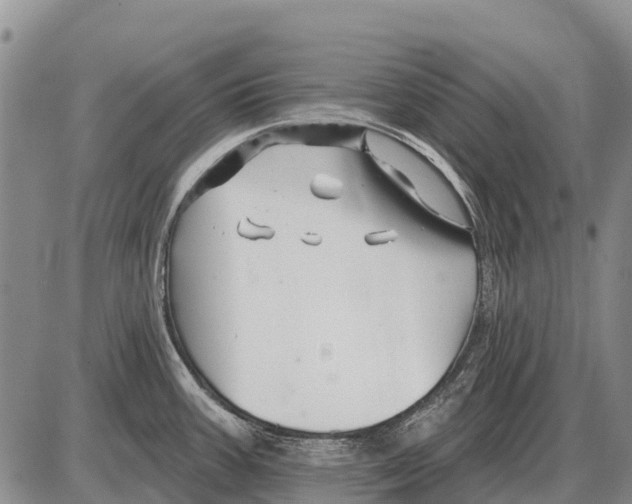 X0000086301387200704271816