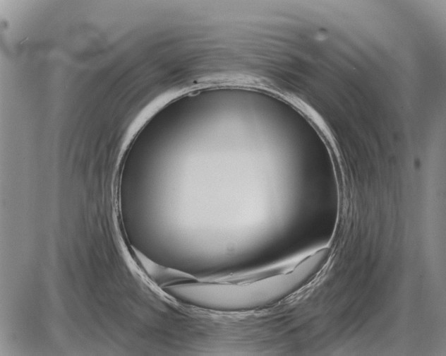 X0000086301389200704271816