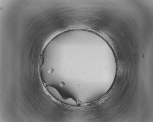 X0000086301390200704271816