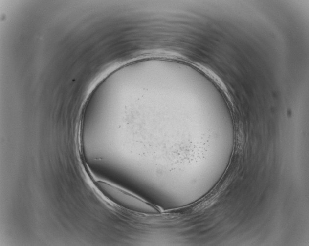 X0000086301391200704271816