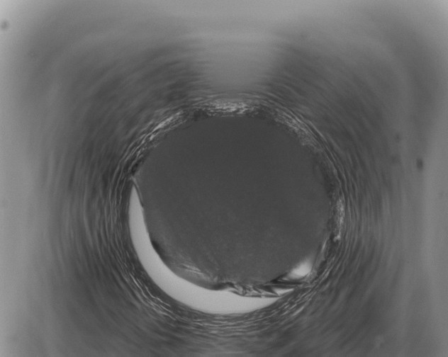 X0000086301394200704271815