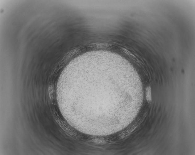 X0000086301395200704271815