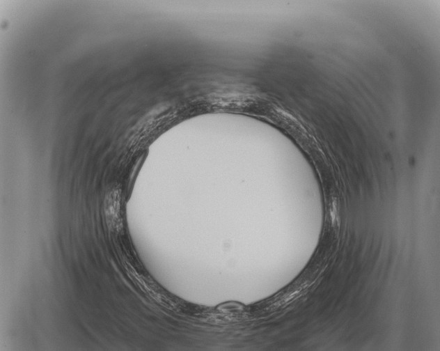 X0000086301396200704271815