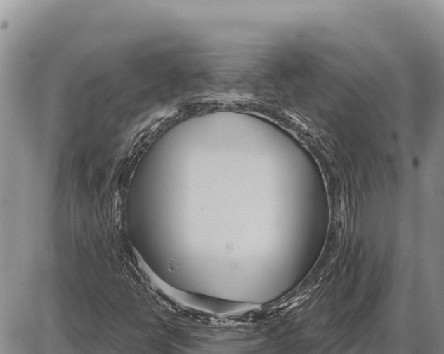 X0000086301398200704271815