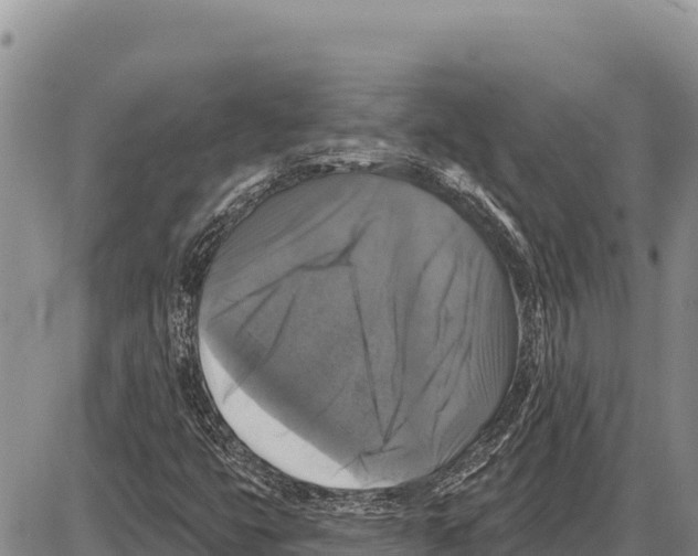 X0000086301399200704271815