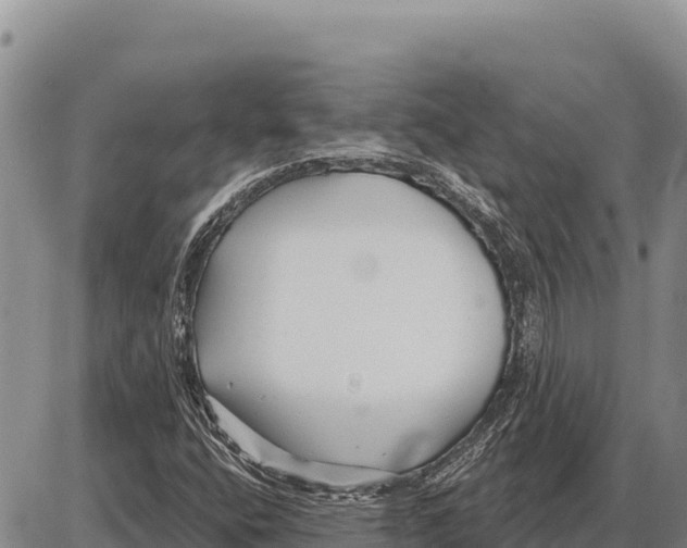 X0000086301400200704271815