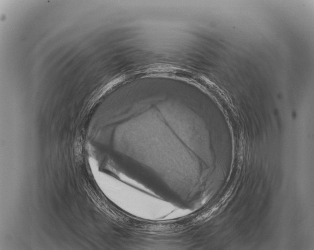 X0000086301401200704271815